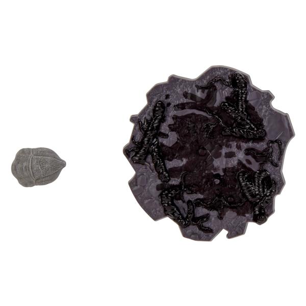 hari-kore_hg202602182_5_d_20260218181227