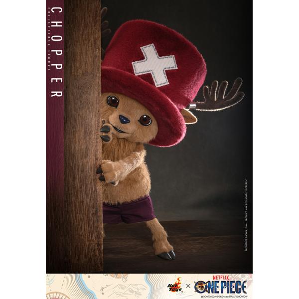 hari-kore_hg202603104_5_d_20260310132418