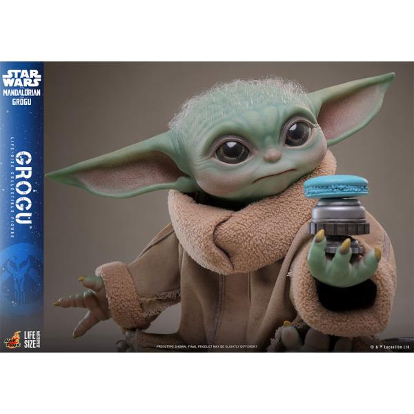 hari-kore_hg202603263_3_d_20260326180159