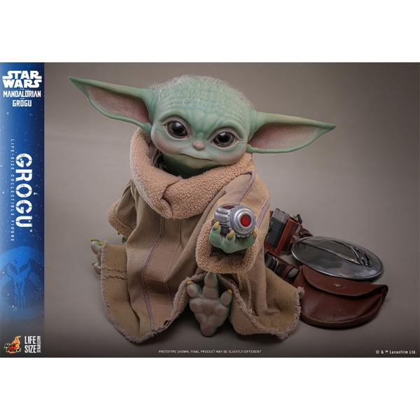 hari-kore_hg202603263_4_d_20260326180206