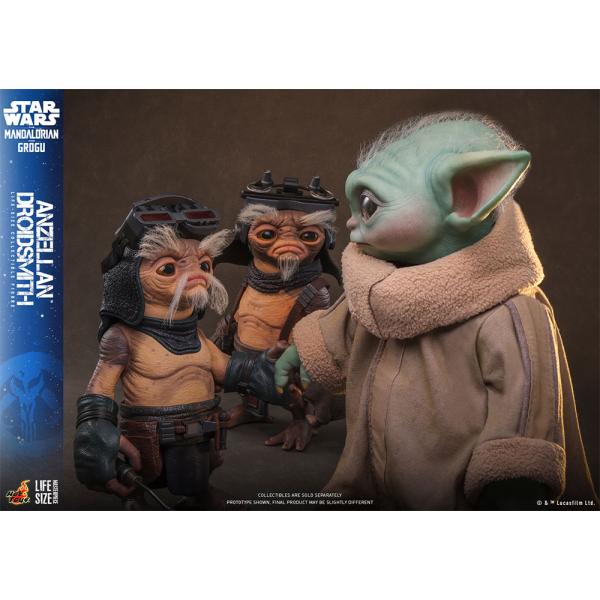 hari-kore_hg202603264_3_d_20260326181056