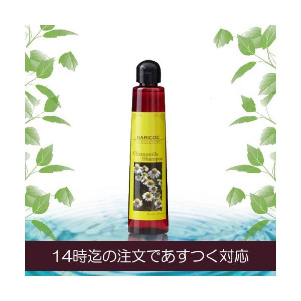 HARICOC ノンシリコンシャンプー HARICOC（ハリコシ）RKシャンプー