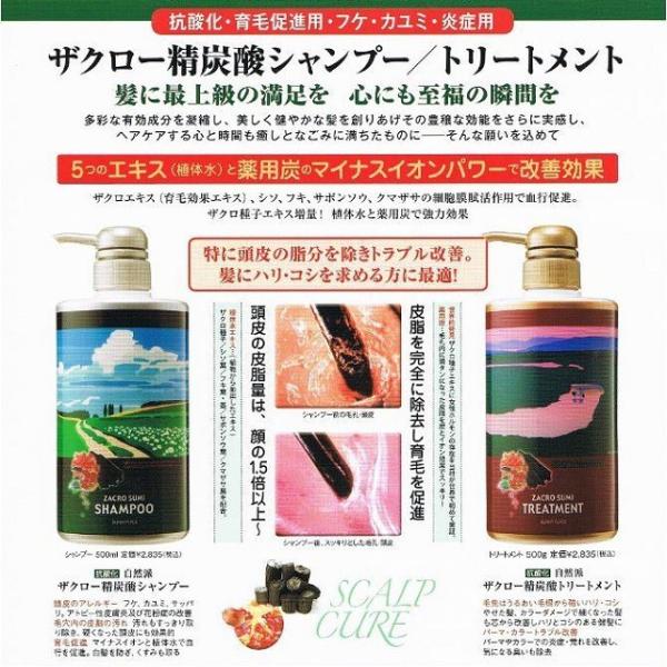サニープレイス ザクロ 精炭酸シャンプー 800ml 3 詰め替え用 レフィル ザクロ精炭酸 Buyee Buyee Japanese Proxy Service Buy From Japan Bot Online