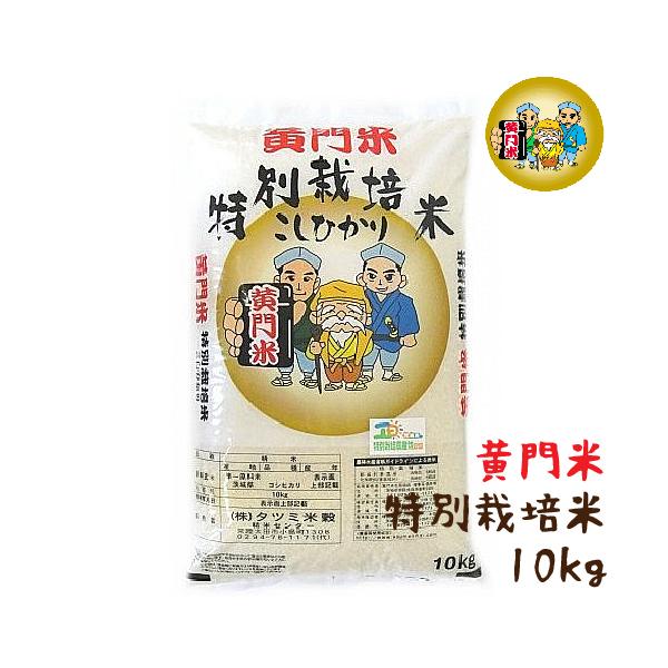 新米 茨城産白米、10キロ 新米 令和7年産 白米 10kg 茨城県産 特別栽培米 コシヒカリ 黄門米 令