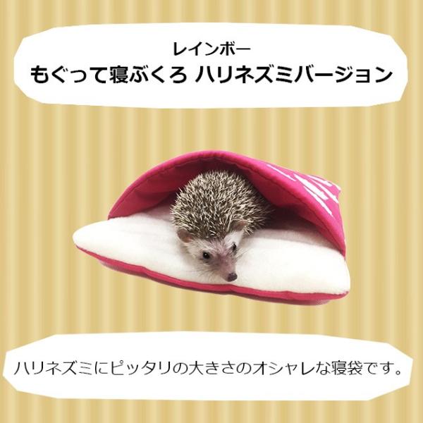 レインボー もぐって寝ぶくろ ハリネズミ柄 小動物用ハウス Buyee Buyee Jasa Perwakilan Pembelian Barang Online Di Jepang