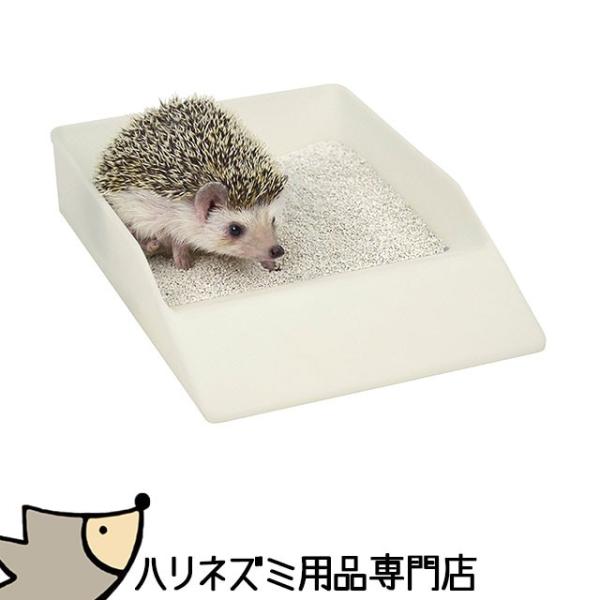 　 эММи.Σ　・　・　ゝΣ　 ミ ●ミゝ 　 ＜ はりねずみんみん共和国でーすΣ つ　　　 つ 　Σ|　　　 　) 　し/ ⌒ Ｊ当店はハリネズミ用品の専門店です。「ハリネズミ専用フード（エサ・おやつ）」「コーンリターやポプラチップなど...