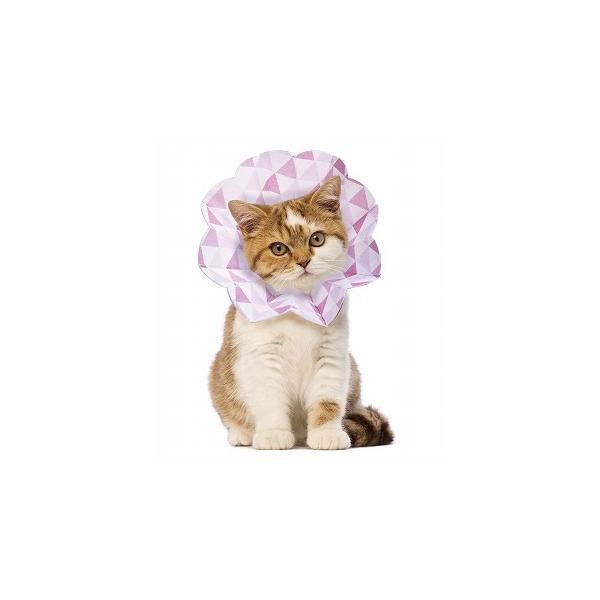 nI RpNgGUxXJ[ GRSS PTS-EC-SS  TCYȒP  ʎg HARIO 