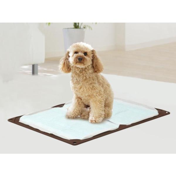ワンコトイレマット ワイド PTS-TMWC-CBR ブラウン HARIO PET 公式 ハリオペット 犬 薄型 ペットシーツ 滑り止め 丸洗い可能