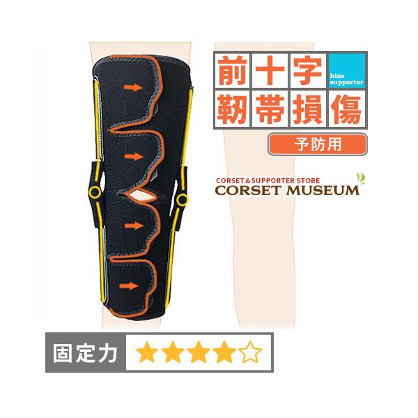 「膝、肩のスポーツリハビリテーション」 肩のスポーツリハビリテーション【電子版付】｜書籍・jmedmook