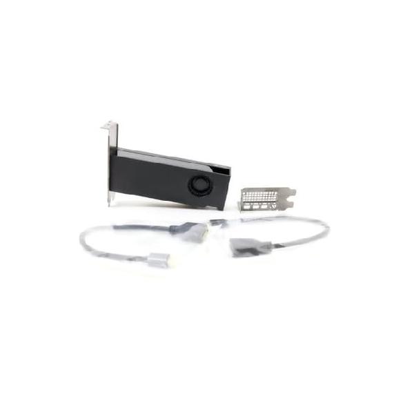 PNY NVIDIA RTX A2000 12GB (Renewed)_並行輸入 : ハーレーカスタマー