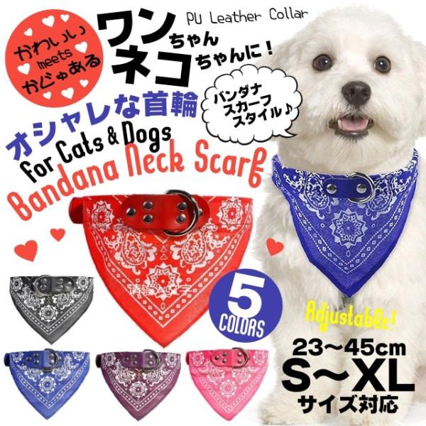 otU[Eo_ilbNXJ[tEJ[ S5F! Lp  [ht\! v DO o_iXJ[tX^C!