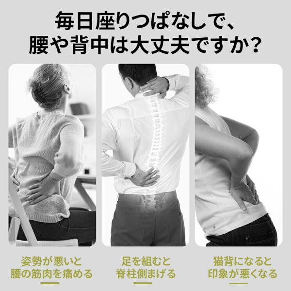 正規品】 姿勢サポート チェア 骨盤サポートチェア 回転可能 姿勢矯正