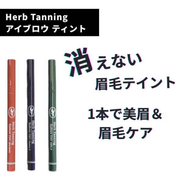 【正規品】Herb Tanning ハーブタンニング アイブロウティント セルフタンニング 眉染 眉毛 アイブロー 落ちない 消えない ペンタイプ アートメイク 眉アート