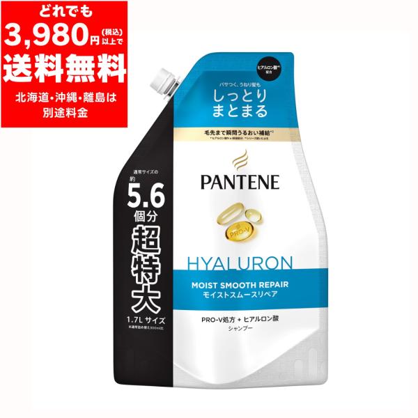 在庫限り 超特大 パンテーン モイストスムース リペア シャンプー つめかえ 1700ml しっとり まとまる うるおい パサつき うねり PANTENE 大容量 モイスト 人気