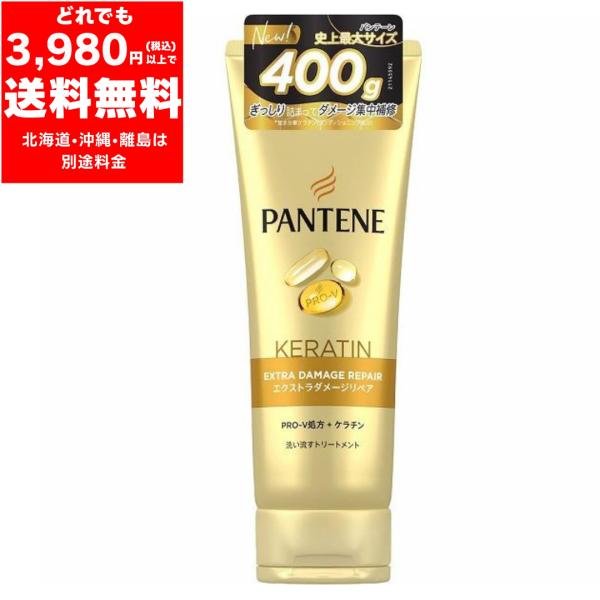 パンテーン エクストラダメージ リペア 洗い流す トリートメント 400g 特大 切れ毛 枝毛 ダメージ  集中補修 大容量