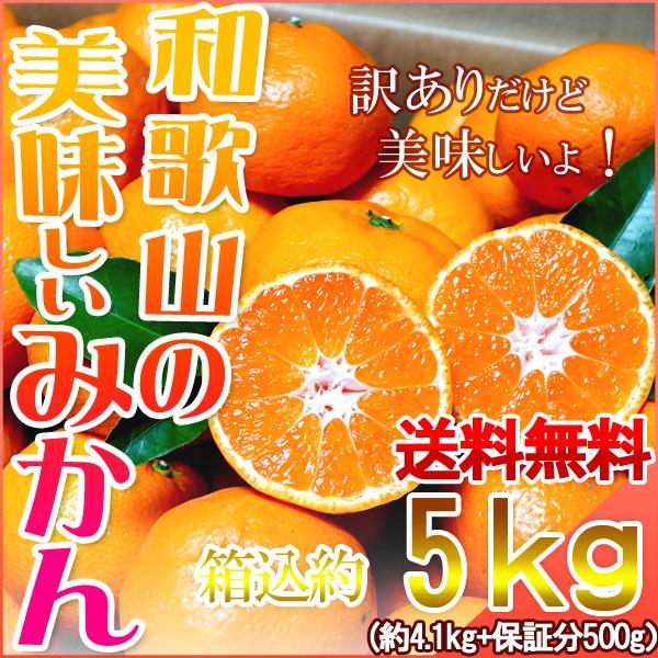 みかん 5kg(箱込約5kg) 和歌山県産 訳あり・ご家庭用 送料無料(東北・北海道・沖縄県除く) :mikan5:HARUMA屋 ヤフーショッピング店 - 通販 - Yahoo!ショッピング みかん 5kg(箱込約5kg) 和歌山県産 訳あり・ご家庭用 送料無料(東北・北海道・沖縄県除く) :mikan5:HARUMA屋 ヤフーショッピング店 - 通販 - Yahoo!ショッピング