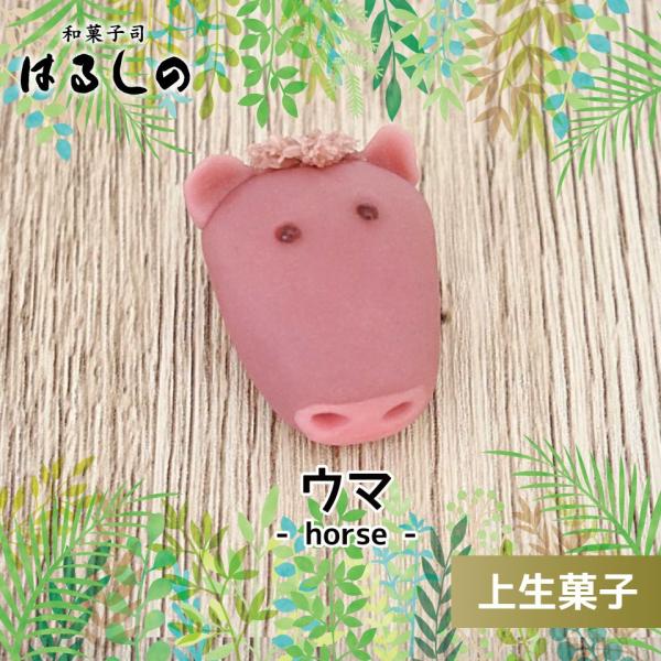 上生菓子 ウマさん アニマルシリーズ :animal-horse:はるしの - 通販 - Yahoo!ショッピング