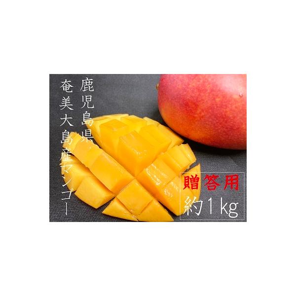 �����哇�Y�@�}���S�[�@��1kg�@���ʁ@2�`�R�ʓ���@�����p�@���ϔ�����@�������� �i���k�E�k�C���E����+500�~�j�①��