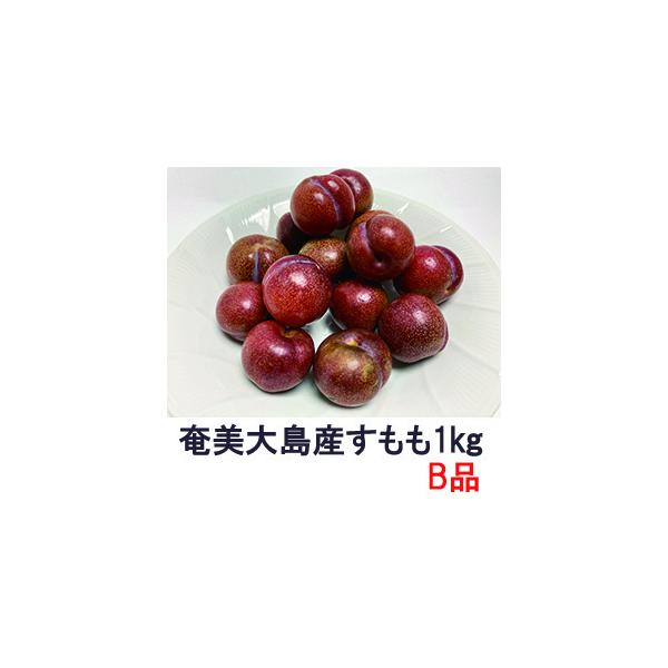 奄美大島産 すもも プラム 約1kg B級品 ご家庭用 M、L 混合（小