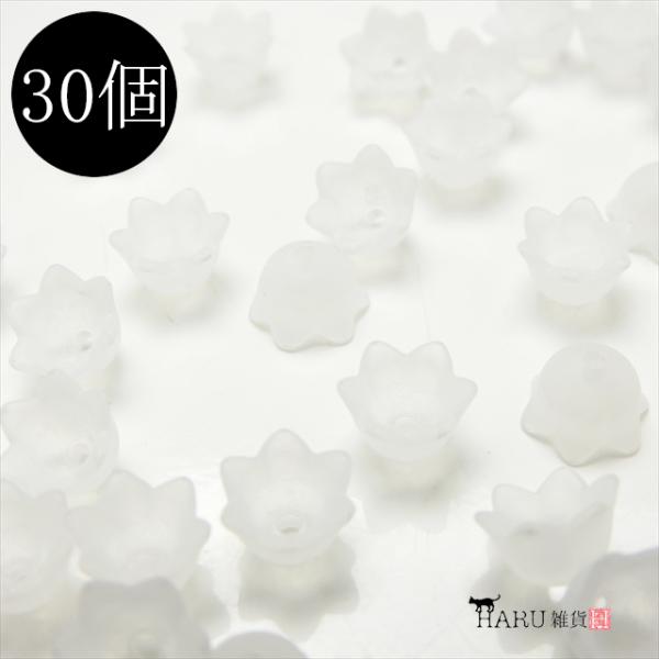 ANt[ tXg r[Y 6 [^ 9mm 30Zbg e NA[ Ԃт ԕ r[Y ANZT[ p[c KX c   R-032