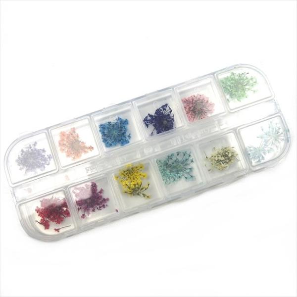 ドライフラワー 12種 C アソートセット かすみ草 押し花 ネイル アクセサリー パーツ Buyee Buyee Jasa Perwakilan Pembelian Barang Online Di Jepang
