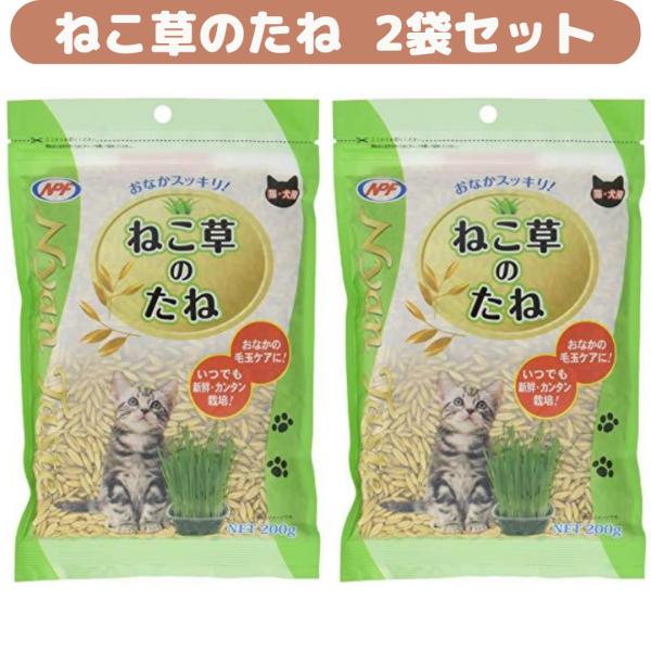 他サイト： (2個セット)ねこ草のたね 200g ナチュラルペットフーズ NyanTaste 猫草 ネコ草 ねこの健康維持の商品画像