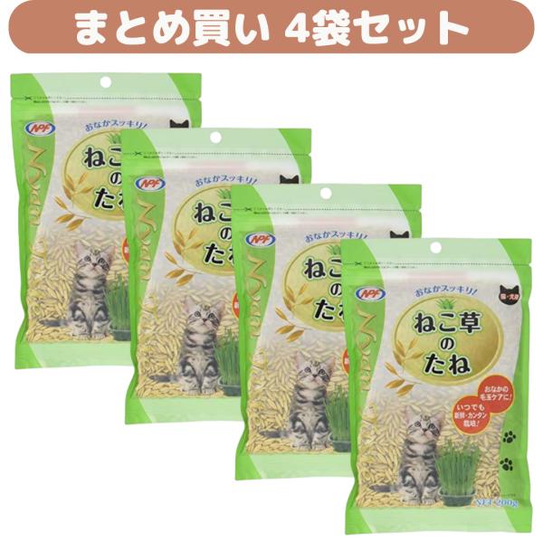 (4個セット)ねこ草のたね 200g ナチュラルペットフーズ NyanTaste 猫草 ネコ草 ねこの健康維持