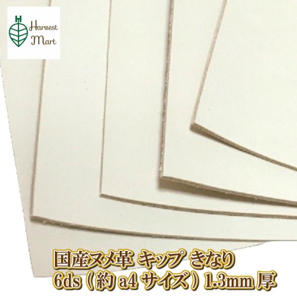 kv ^[ U[Ntg v  v Lbv vn 1.3~ 6fV