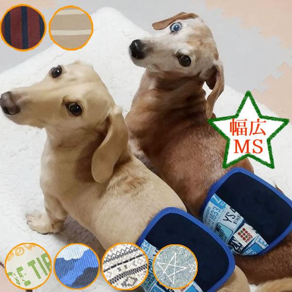 HARZth n[Y L}i[xg MS L }i[xg p VjA Rɂ ނJo[  Ch ^ ^VjA j̎q IX 