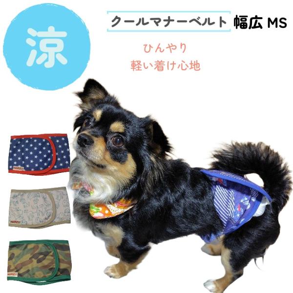 犬 服 ひんやり 犬用しつけグッズの人気商品 通販 価格比較 価格 Com