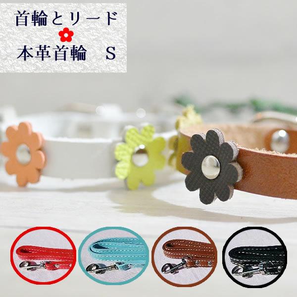 Harzth @n[Y@ց@@{vւƃ[h̃Zbg @Iׂ8J[@[h@J[@STCY@Vv@]