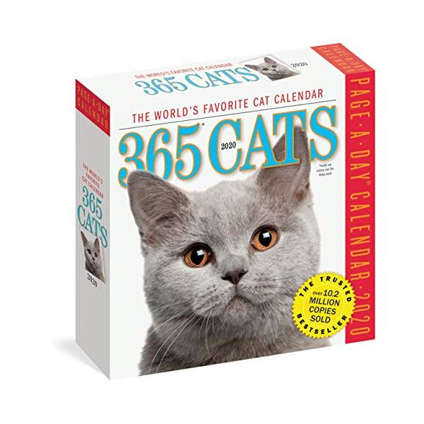 365 Cats 2020 Calendar【並行輸入品】