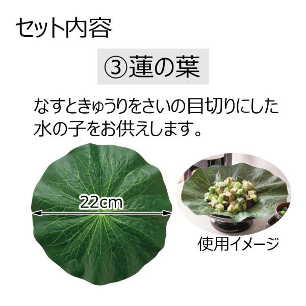 hasegawa-online_2927063470008_3