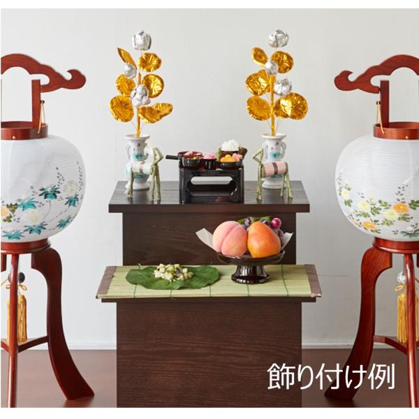 hasegawa-online_2927063470008_5