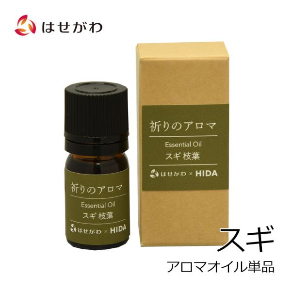 hasegawa-online_2927086880006