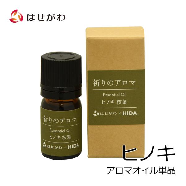 hasegawa-online_2927086890005