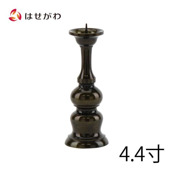 hasegawa-online_4532339100107 hasegawa-online_4532339100107