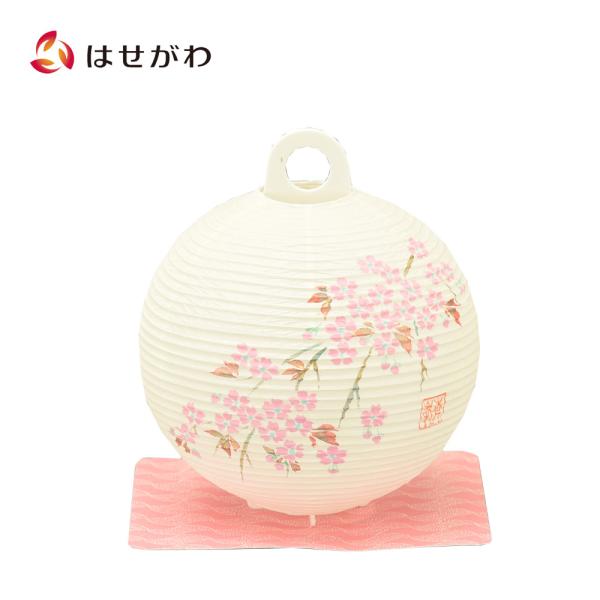 ゴ*ン様 ✳︎お盆企画✳︎豪華３1枚セット✳︎説明欄を要チェック✳︎ジャパレゲ hasegawa-online_4532422853729