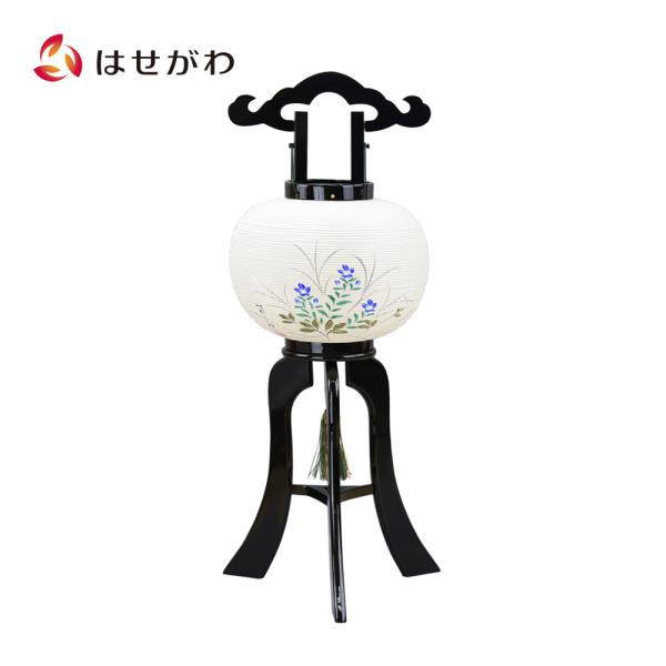 hasegawa-online_4534020034005