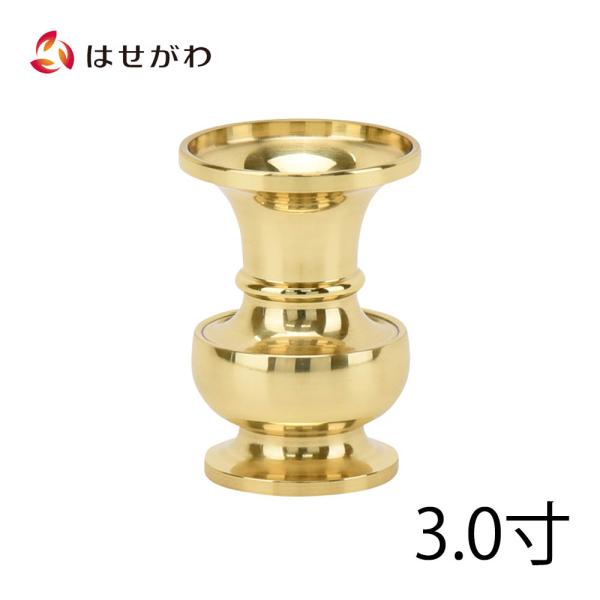 hasegawa-online_4534665001875 hasegawa-online_4534665001875