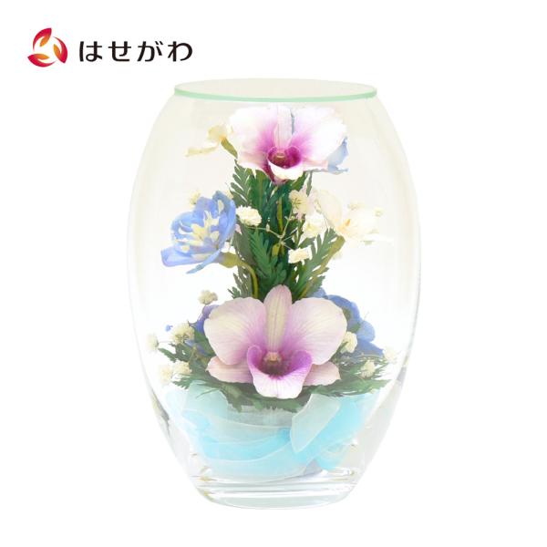 hasegawa-online_4545987005052