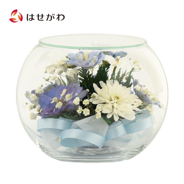 hasegawa-online_4545987005557