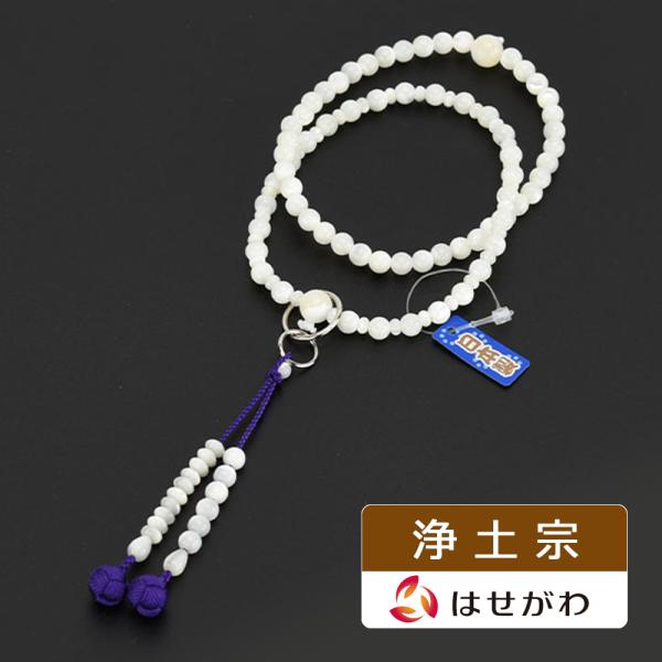 hasegawa-online_4948261600156 hasegawa-online_4948261600156