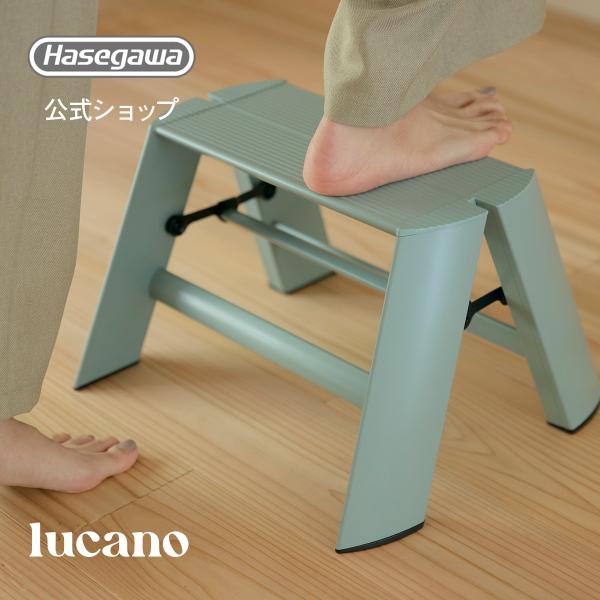 長谷川工業 踏み台 踏台 脚立 インテリア スツール 1step 1段 ダスティ
