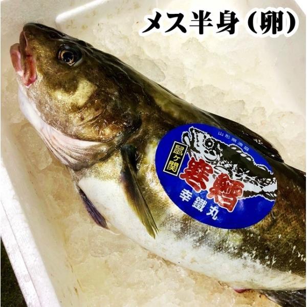 山形県産 真鱈 寒鱈 メス たらこ 4kg半身（4〜5人前） マダラ