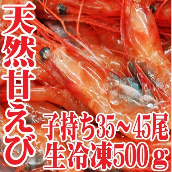 山形県産 天然子持ち 甘エビ 500ｇ35〜45匹 生冷凍 刺身 業務用 甘えび 甘海老 鮮魚 海鮮丼 刺し身 盛り合わせ セット