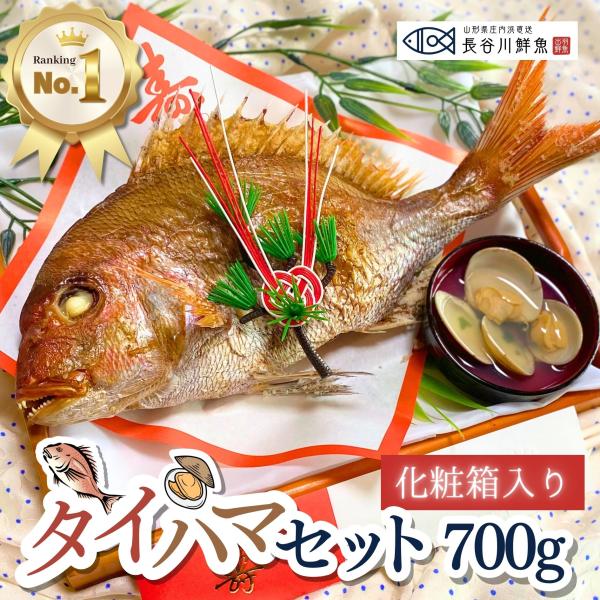 ＼new／お食い初め 鯛『タイハマセット』鯛700g(4〜5人前サイズ) 【ギフト仕様(化粧箱)】蛤のお吸い物2食 祝い鯛 山形県産