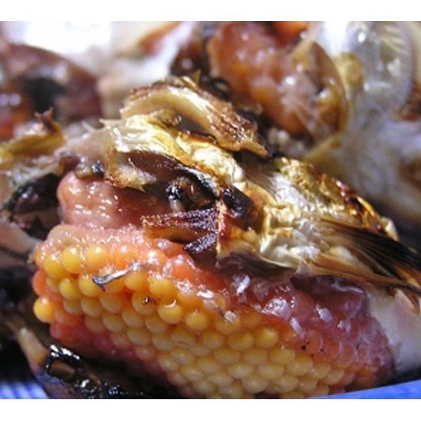 子持ち ハタハタ 醤油干し 4 6尾150g 3パック ブリコ メス 東北 山形県産 自家製 一夜干し 無添加 頭なし 干物 セット 冷凍 鮮魚 Buyee Buyee 日本の通販商品 オークションの代理入札 代理購入