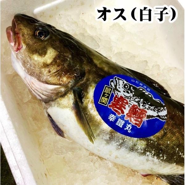 鱈 魚の人気商品 通販 価格比較 価格 Com