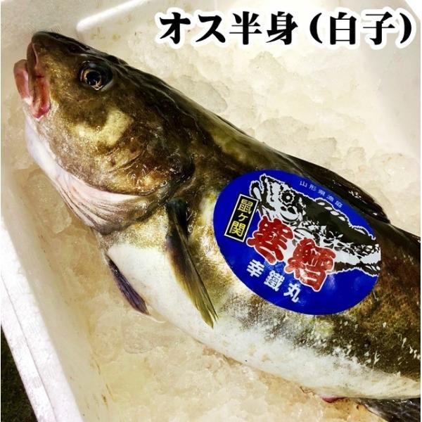 山形県産 真鱈 寒鱈 オス 白子 4ｋｇを半身 4 5人前 マダラ 真ダラ 寒ダラ 鱈 1月中旬より順次発送 Buyee Buyee 日本の通販商品 オークションの代理入札 代理購入